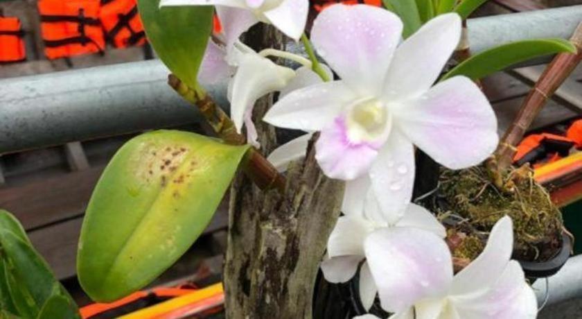 Orchid Lake House Ban Wang Khon Eksteriør billede